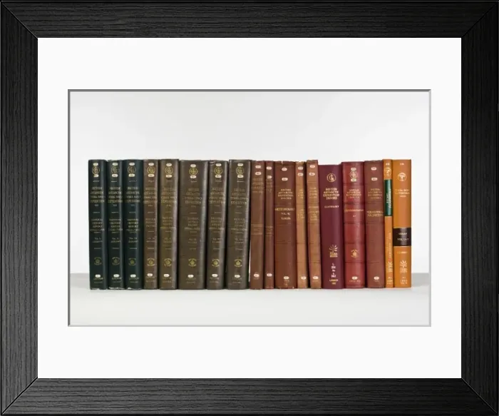 Framed Print : Terra Nova reports Framed Print : Terra Nova reports
