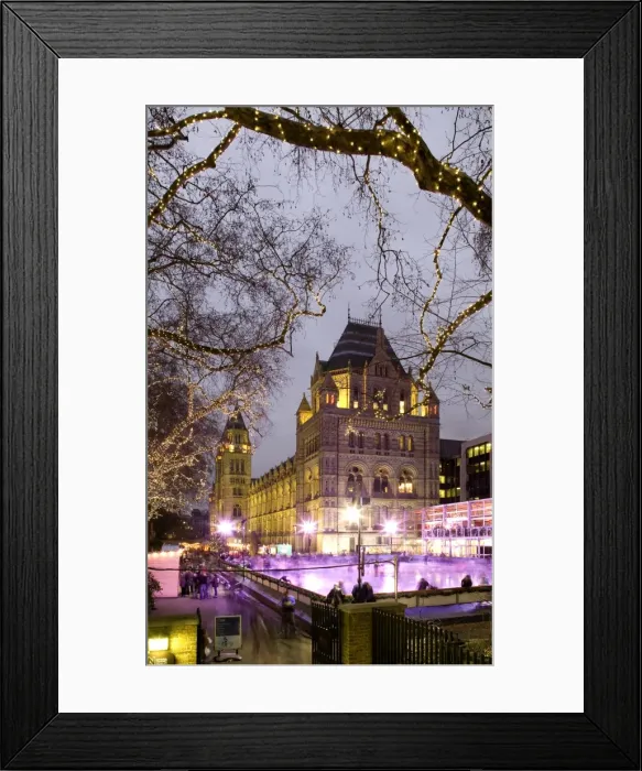 Framed Print : The ice rink at the Natural History Museum, London Framed Print : The ice rink at the Natural History Museum, London