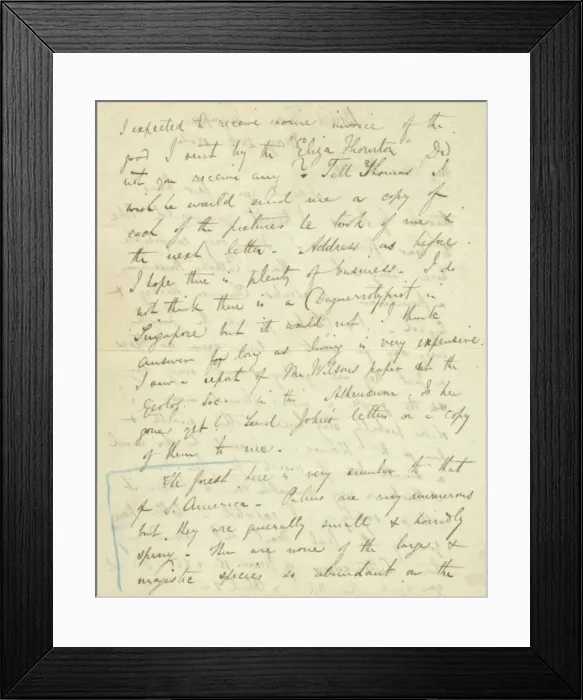 Framed Print : Letter from A. R. Wallace to his mother, 28 May 1854 Framed Print : Letter from A. R. Wallace to his mother, 28 May 1854
