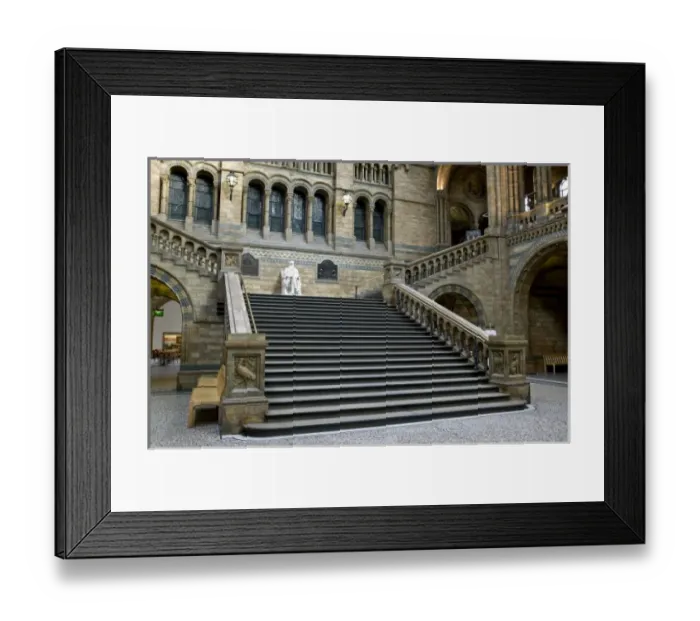 Framed Print : Charles Robert Darwin (1809-1882) Framed Print : Charles Robert Darwin (1809-1882)