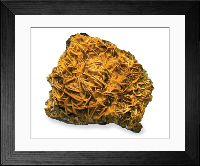 Framed Print : Butterscotch wulfenite Framed Print : Butterscotch wulfenite