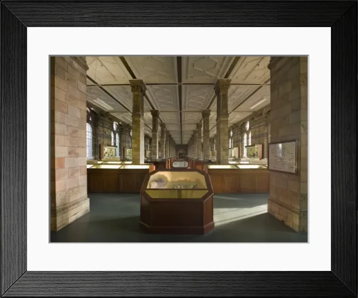Framed Print : The Minerals Gallery Framed Print : The Minerals Gallery