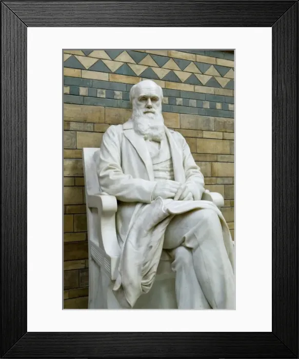 Framed Print : Charles Robert Darwin (1809-1882) Framed Print : Charles Robert Darwin (1809-1882)