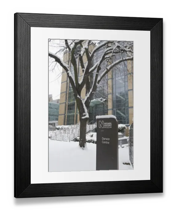 Framed Print : The Darwin Centre Phase One at the Natural History Museum, L Framed Print : The Darwin Centre Phase One at the Natural History Museum, L