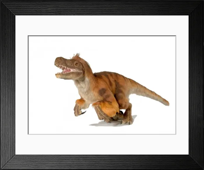 Framed Print : Dromaeosaurus, fuzzy raptor Framed Print : Dromaeosaurus, fuzzy raptor