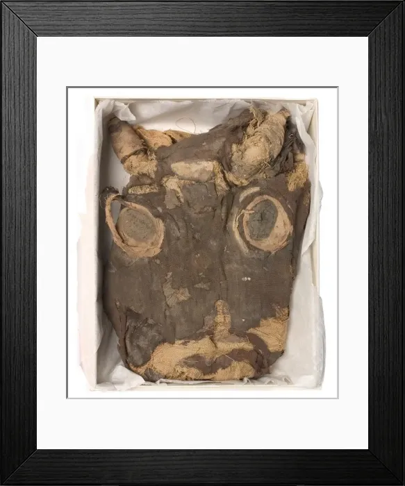 Framed Print : Bandages from a calf mummy Framed Print : Bandages from a calf mummy