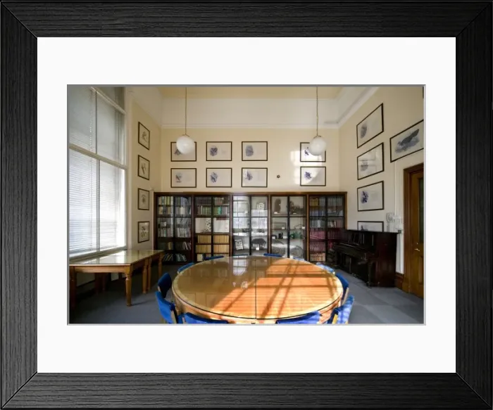 Framed Print : The Gavin De Beer room Framed Print : The Gavin De Beer room
