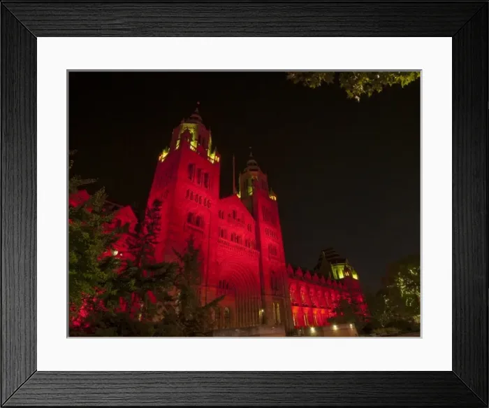 Framed Print : The Natural History Museum illuminated at night, October 201 Framed Print : The Natural History Museum illuminated at night, October 201
