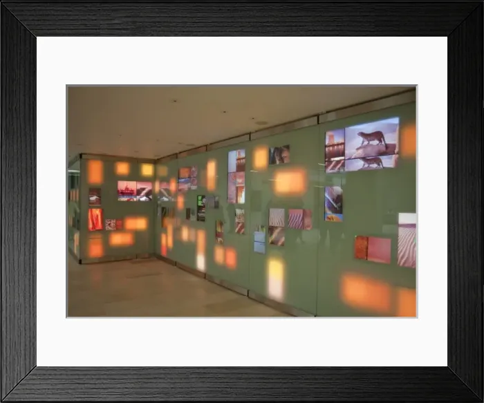 Framed Print : Climate Change Wall
