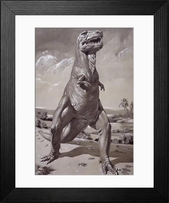 Framed Print : Tyrannosaurus rex Framed Print : Tyrannosaurus rex