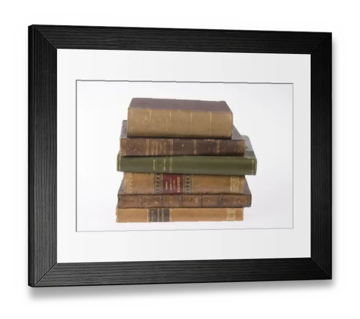 Framed Print : The Origin of Species Framed Print : The Origin of Species