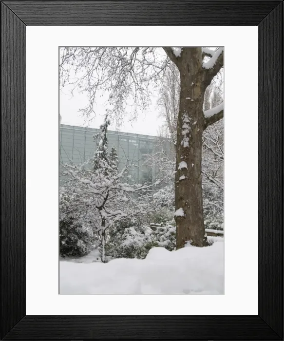 Framed Print : The Darwin Centre at the Natural History Museum, London Framed Print : The Darwin Centre at the Natural History Museum, London