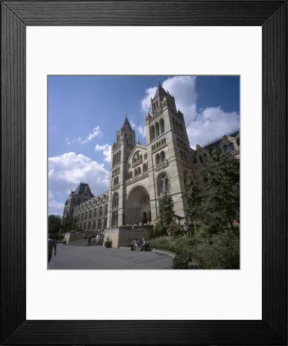 Framed Print : The Natural History Museum Framed Print : The Natural History Museum