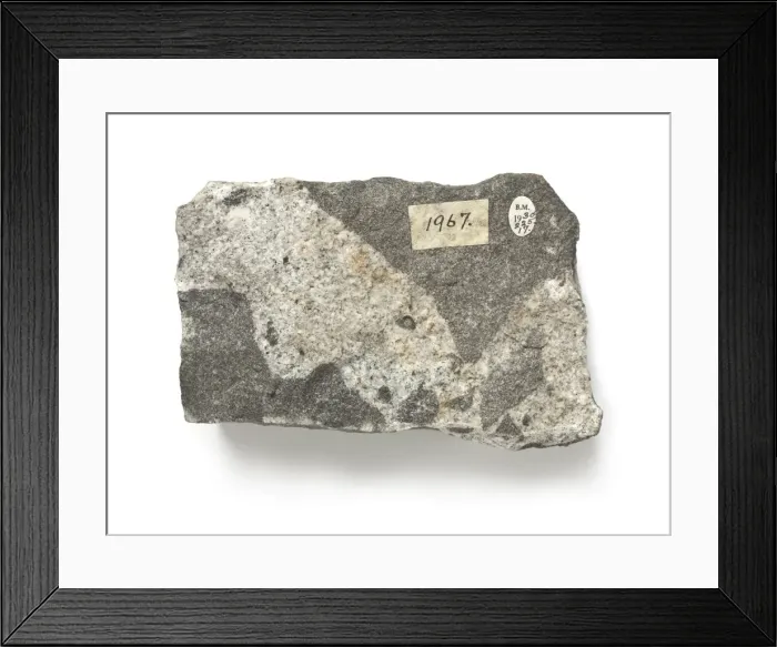 Framed Print : Diorite intruded by microgranite Framed Print : Diorite intruded by microgranite