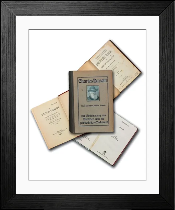Framed Print : The Descent of Man, New York, 1923 Framed Print : The Descent of Man, New York, 1923