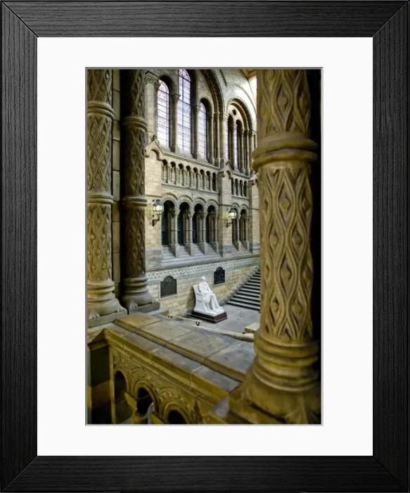 Framed Print : Charles Robert Darwin (1809-1882) Framed Print : Charles Robert Darwin (1809-1882)
