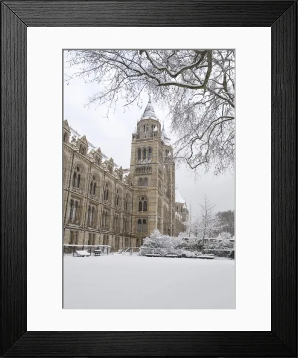 Framed Print : The Natural History Museum, London Framed Print : The Natural History Museum, London
