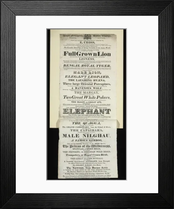 Framed Print : Royal Menagerie, Exeter Change, Strand, London Framed Print : Royal Menagerie, Exeter Change, Strand, London