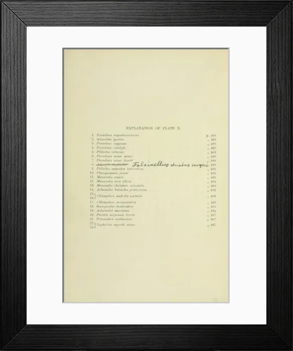 Framed Print : Key for Eggs of Paradiseidae Framed Print : Key for Eggs of Paradiseidae