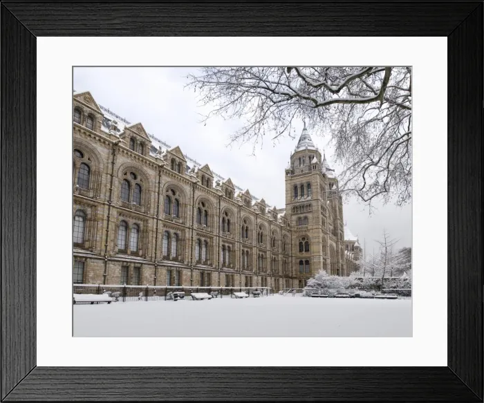 Framed Print : The Natural History Museum, London Framed Print : The Natural History Museum, London