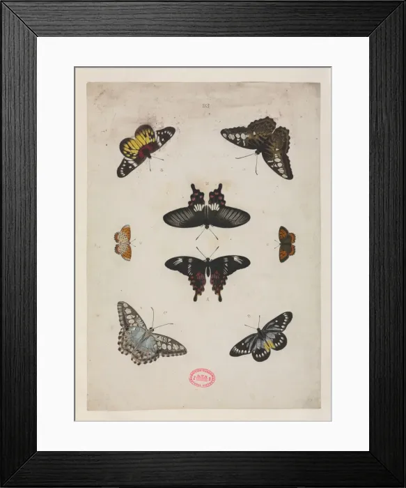 Framed Print : De Uitlandsche Kapellen Framed Print : De Uitlandsche Kapellen