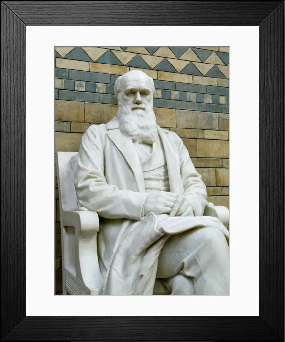 Framed Print : Charles Robert Darwin (1809-1882) Framed Print : Charles Robert Darwin (1809-1882)