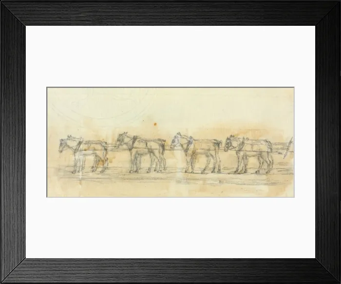 Framed Print : Horses being used to transport a Basking shark from Brighton Framed Print : Horses being used to transport a Basking shark from Brighton