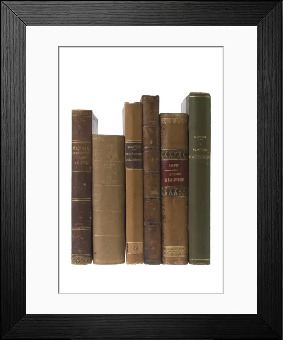 Framed Print : The Origin of Species Framed Print : The Origin of Species