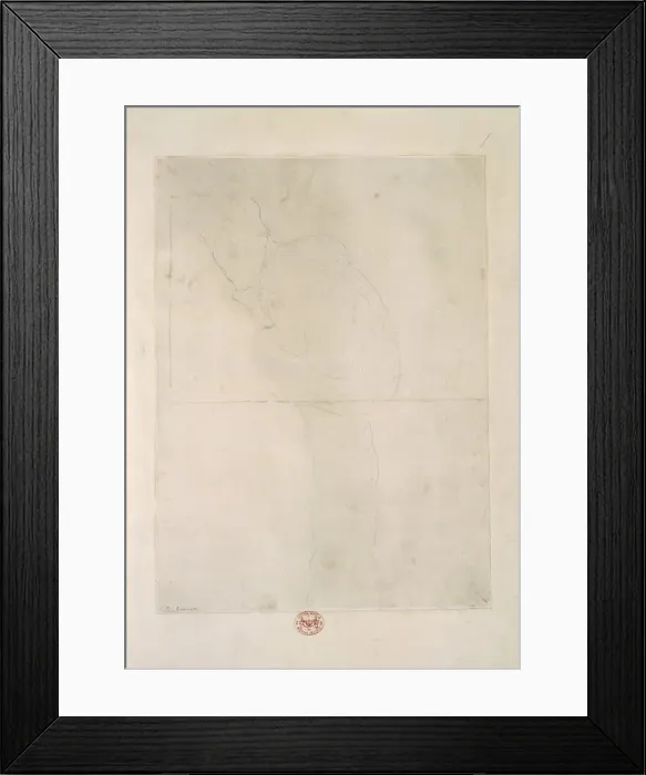 Framed Print : Nycticebus coucang, slow loris Framed Print : Nycticebus coucang, slow loris