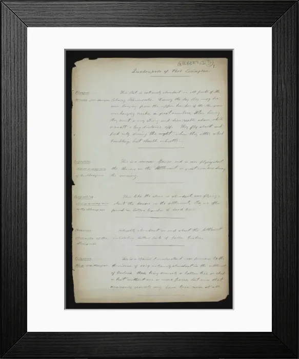 Framed Print : Quadrupeds of Port Essington Framed Print : Quadrupeds of Port Essington