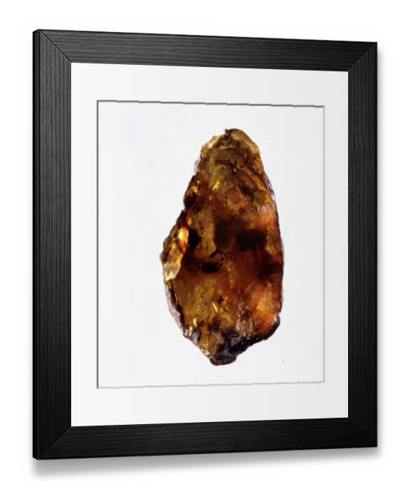 Framed Print : Mexican amber Framed Print : Mexican amber