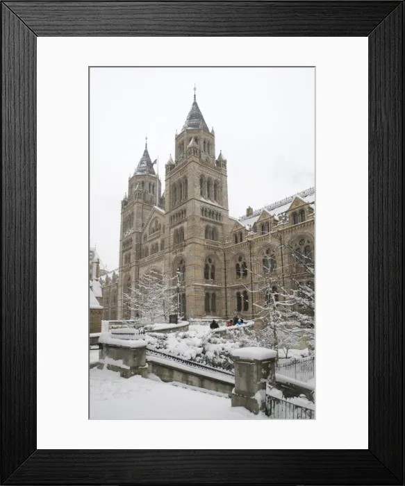 Framed Print : The Natural History Museum, London Framed Print : The Natural History Museum, London