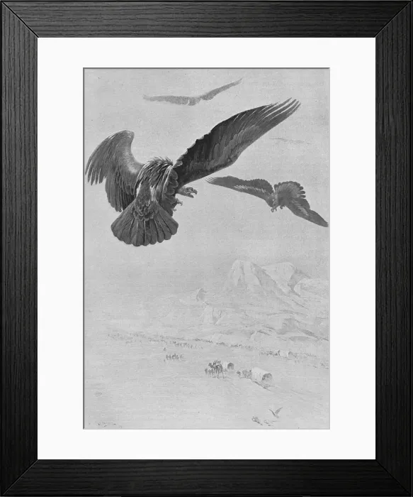 Framed Print : Alexander the Greats army crossing Baluchistan, 325BC Framed Print : Alexander the Greats army crossing Baluchistan, 325BC