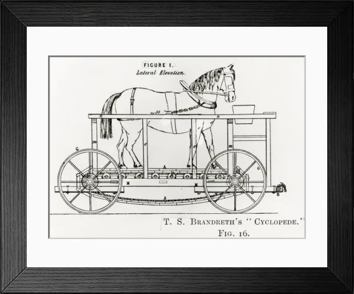 Framed Print : Ts Brandreths Cyclopede Framed Print : Ts Brandreths Cyclopede
