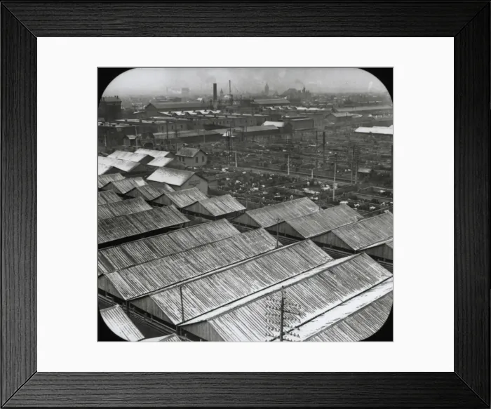 Framed Print : Cattle marshalling yards Framed Print : Cattle marshalling yards