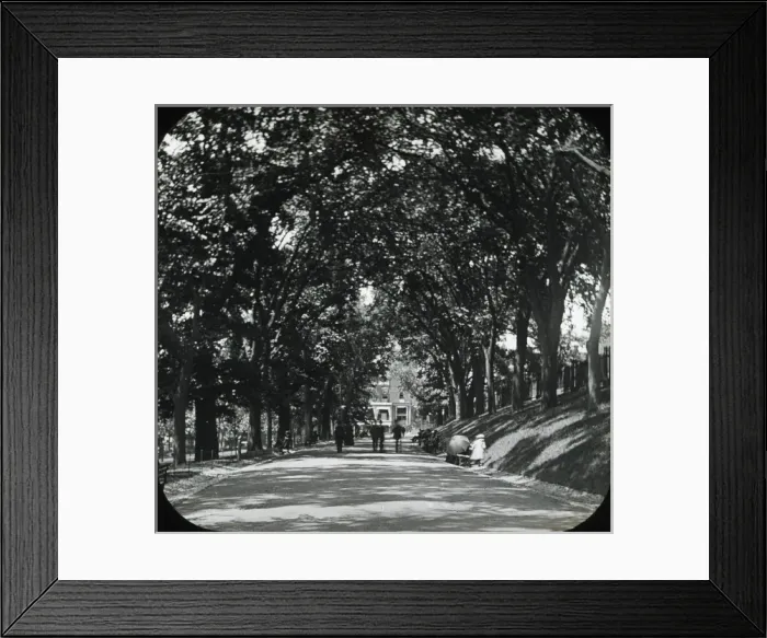 Framed Print : Chicago, 1904 Framed Print : Chicago, 1904