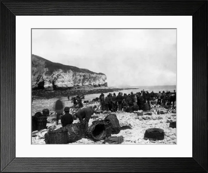 Framed Print : Flamborough fish market, North Yorkshire, UK Framed Print : Flamborough fish market, North Yorkshire, UK