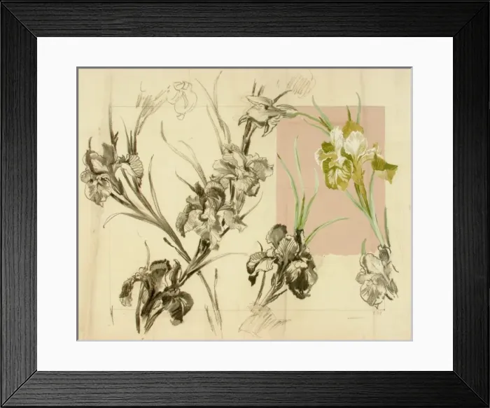 Framed Print : Design with lily flowers Framed Print : Design with lily flowers