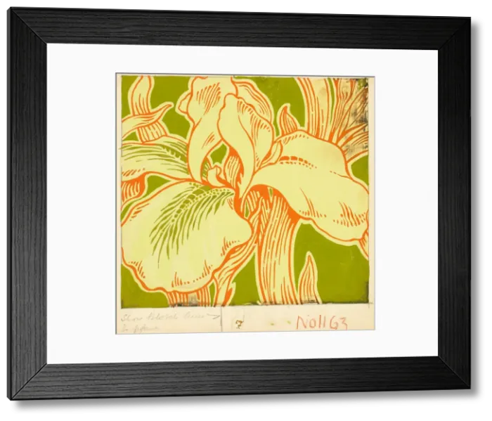 Framed Print : Design for printed textile with lily flower Framed Print : Design for printed textile with lily flower