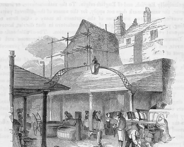 Spitalfields Market  /  1841