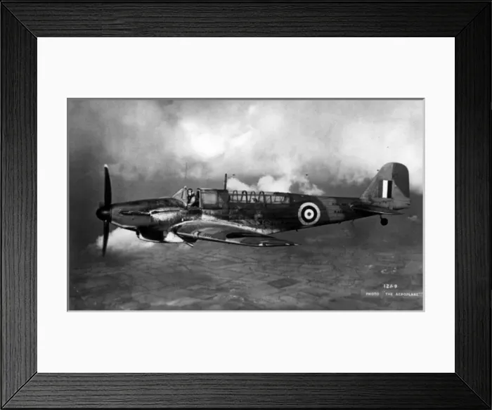 Framed Print : Fairey Fulmar I N4062 Framed Print : Fairey Fulmar I N4062