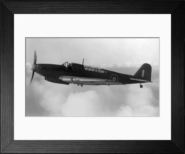 Framed Print : Fairey Fulmar in flight Framed Print : Fairey Fulmar in flight