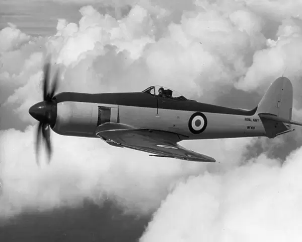 Hawker Sea Fury FB11 WF619