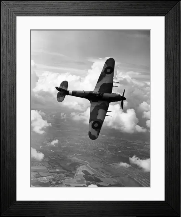 Framed Print : Hawker Hurricane IIC PZ865 / G-AMAU Framed Print : Hawker Hurricane IIC PZ865 / G-AMAU