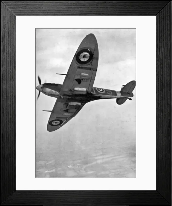 Framed Print : Supermarine Spitfire V Framed Print : Supermarine Spitfire V