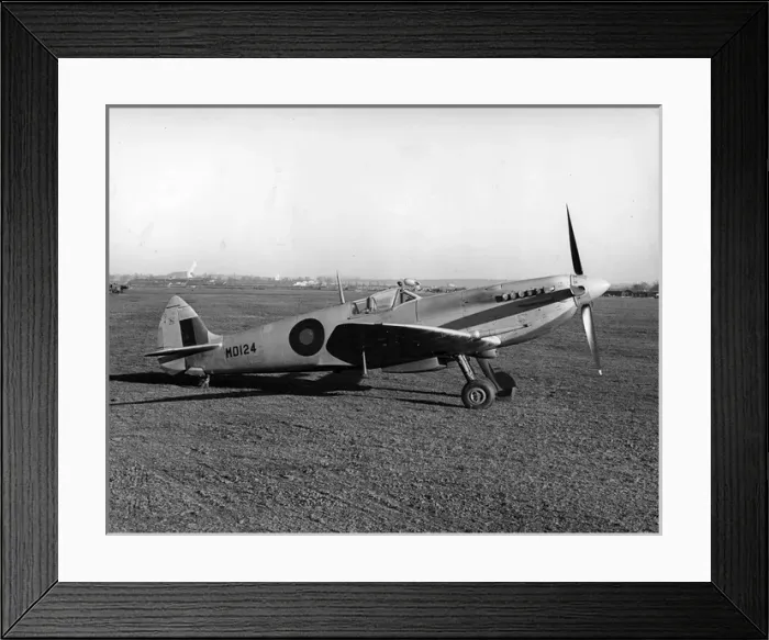 Framed Print : Supermarine Spitfire VII MD124 Framed Print : Supermarine Spitfire VII MD124