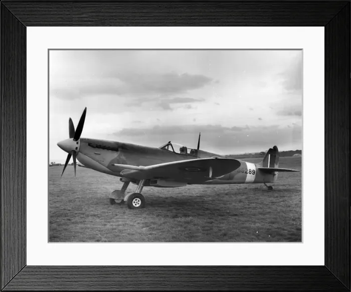 Framed Print : Supermarine Spitfire IX BS289 Framed Print : Supermarine Spitfire IX BS289