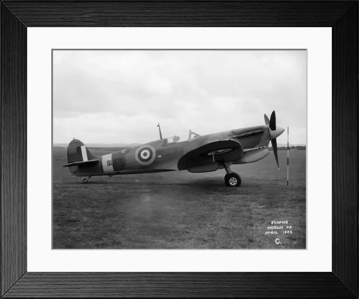 Framed Print : Supermarine Seafire IB BL676 Framed Print : Supermarine Seafire IB BL676
