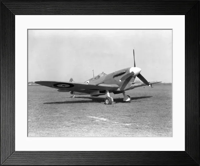 Framed Print : Supermarine Seafire IB Framed Print : Supermarine Seafire IB
