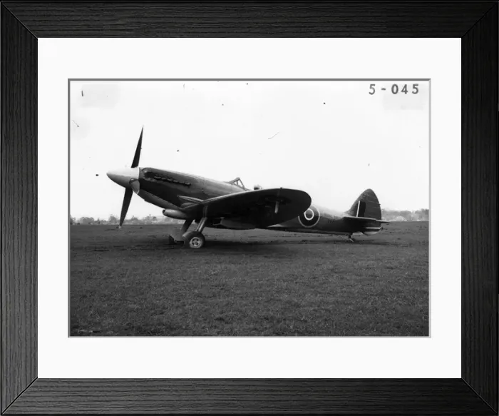 Framed Print : Supermarine Seafire XVII Framed Print : Supermarine Seafire XVII